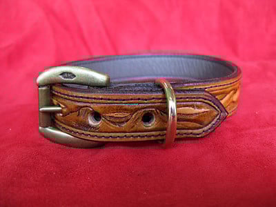 Handmade Leather dog collar with mountain scene