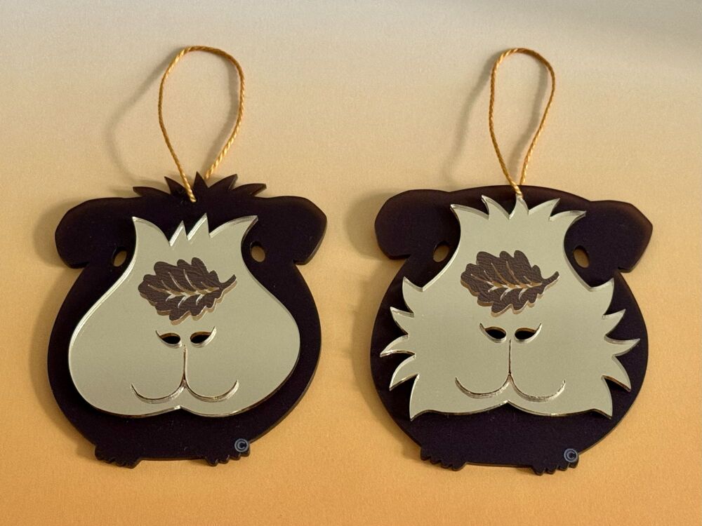 D3 - Amber & Orla - Pair Of 3D Laser Cut Guinea Pig Autumn Ornaments