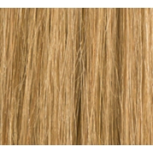 #14 Light Honey Blonde Stick Tips (Straight) 0.8g/Strands