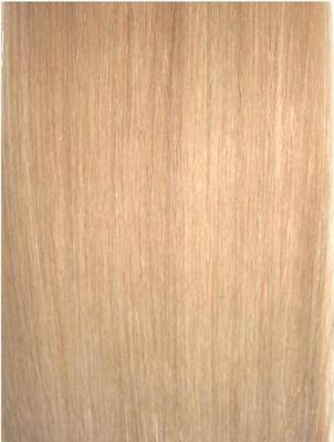 Colour #24 Honey Blonde Remy Elite Hair Clip-ins (Full head)