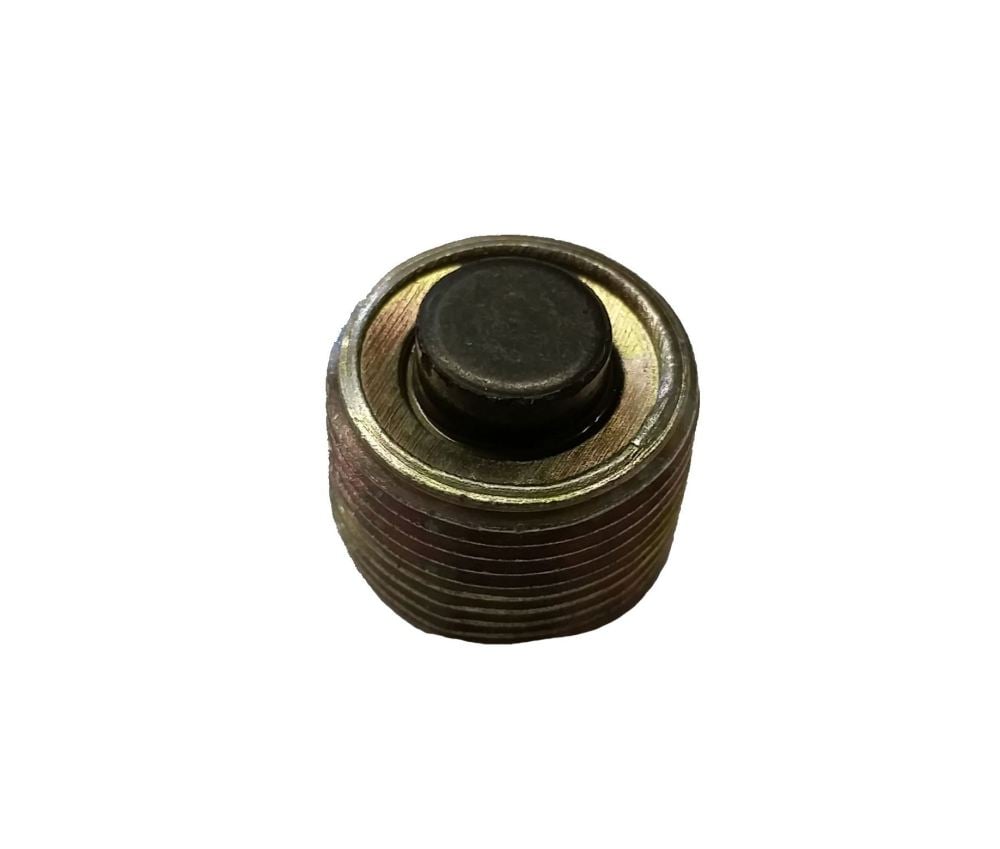 Gearbox Drain Plug, Magnetic.   113-301-141B