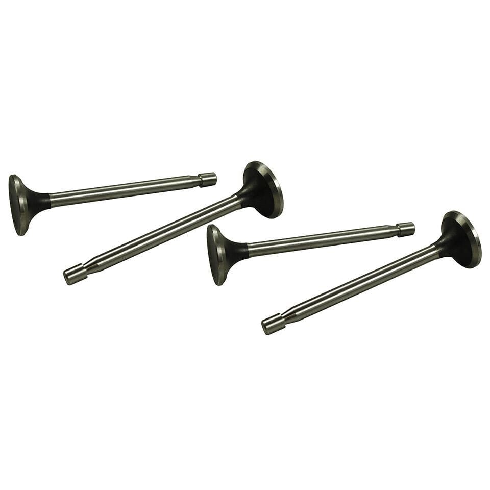 Exhaust Valves, Set of 4 for 25/30hp Engine.   111-109-611A