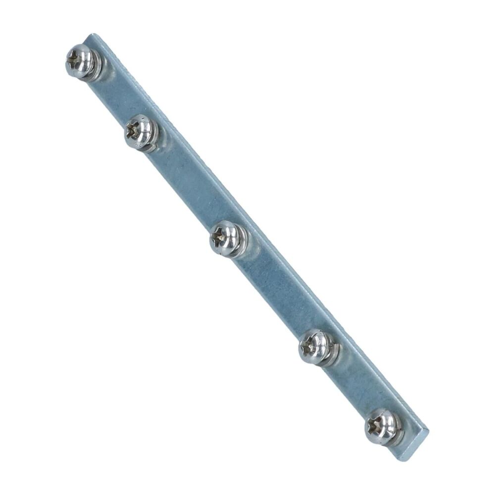 Pop-out Window Screw Plate, Beetle.   113-847-139