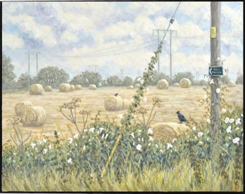 panel-cornbales