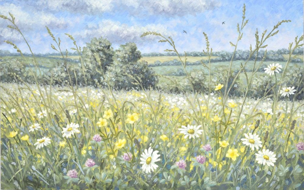 Original Oil Painting - Daisy Meadow