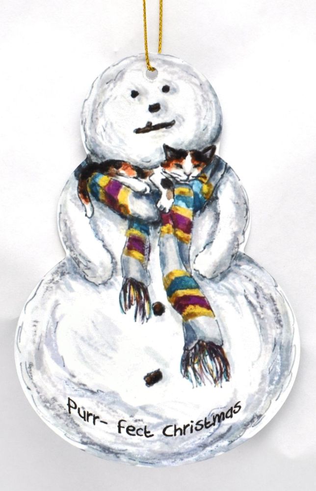 Snowman - Cat