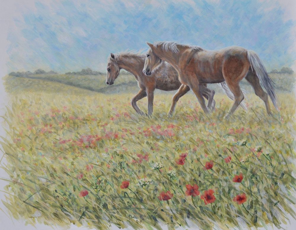 Original Paintings - Through the Poppies