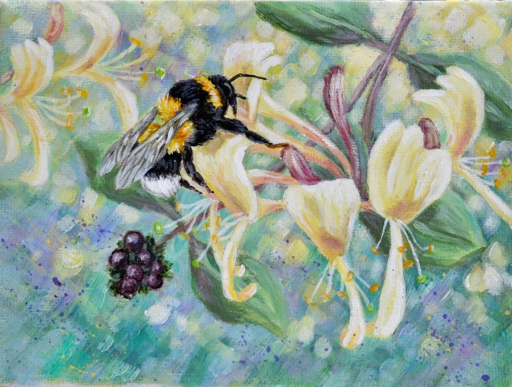 Honeysuckle Bees