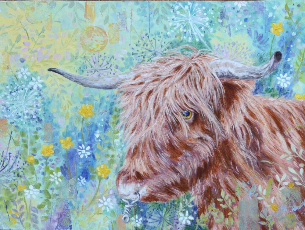 Original Paintings - Highland Cow