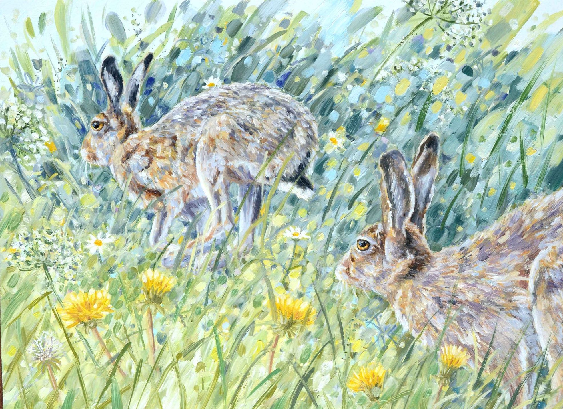 Hares on the run