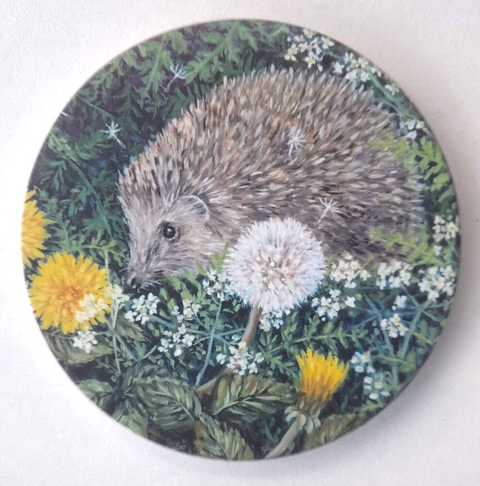 Hedgehog & Dandelions
