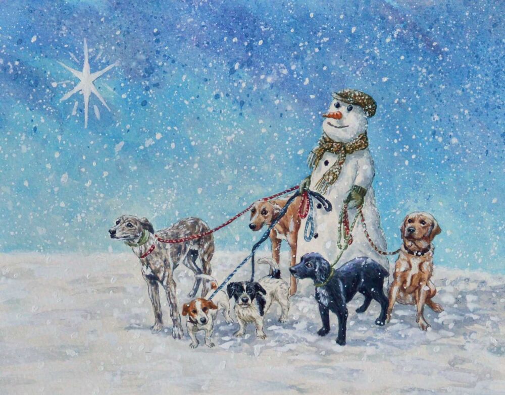 Snowy Dog Walk