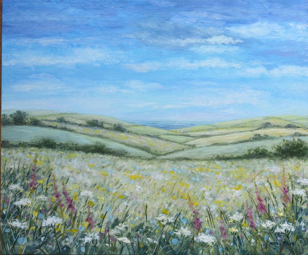 Original Paintings - I can see the sea