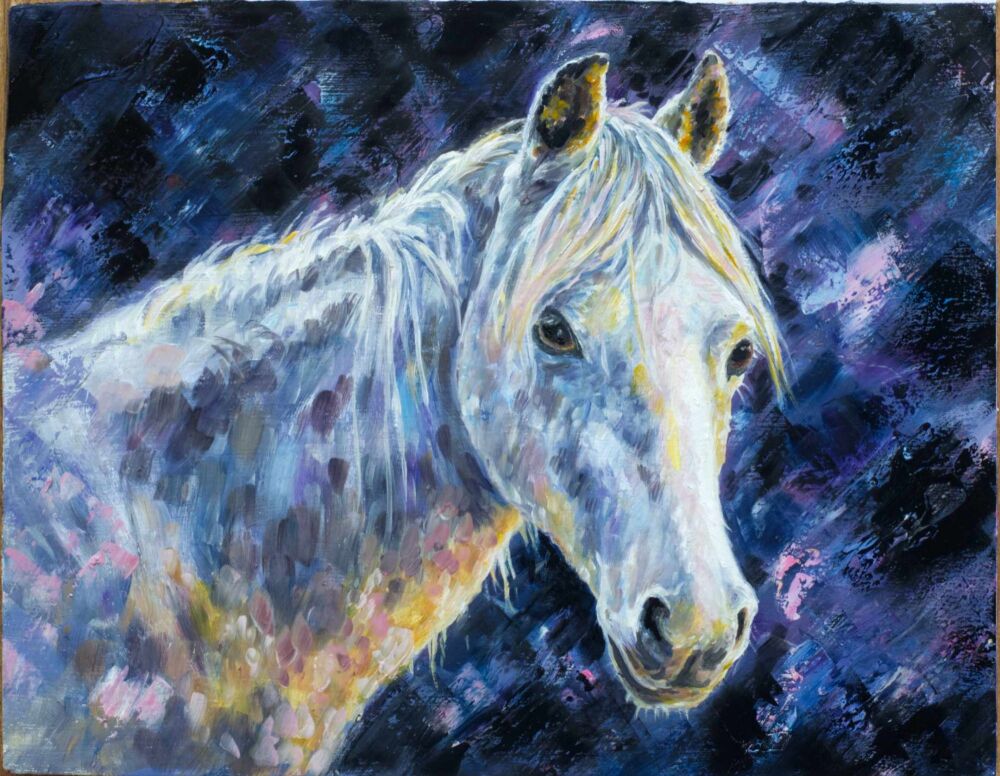 Evening Light - Horse