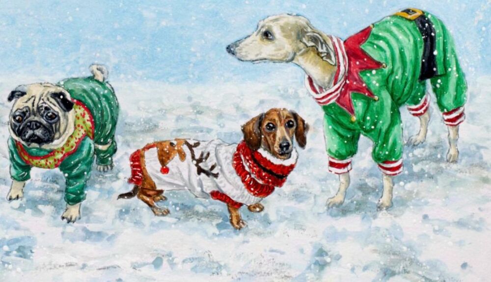 Dogs- Winter Coats