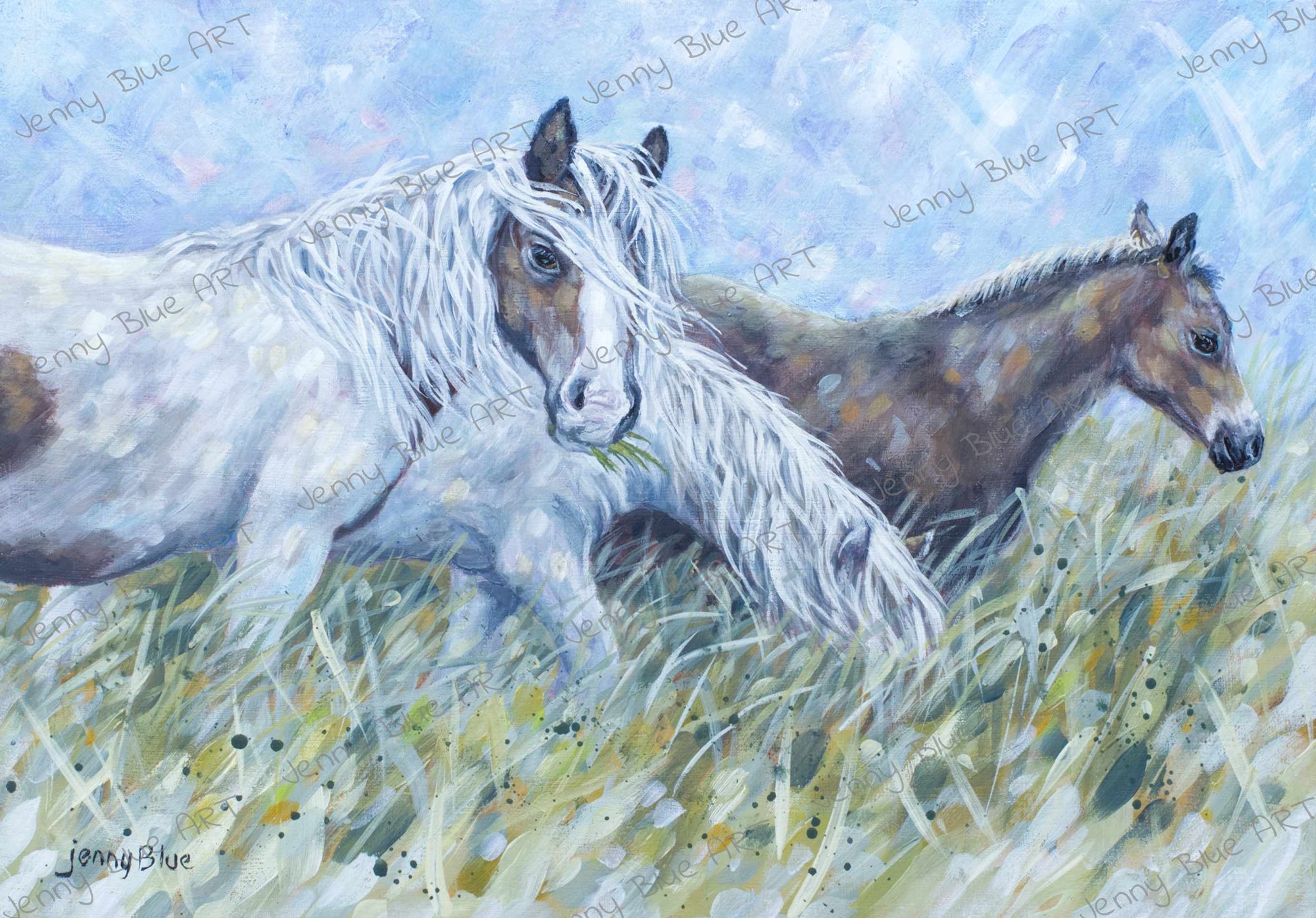 3 horses 24
