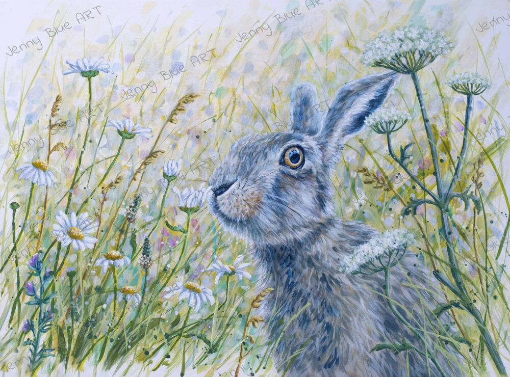 Hare - Wake up & smell the Daisies