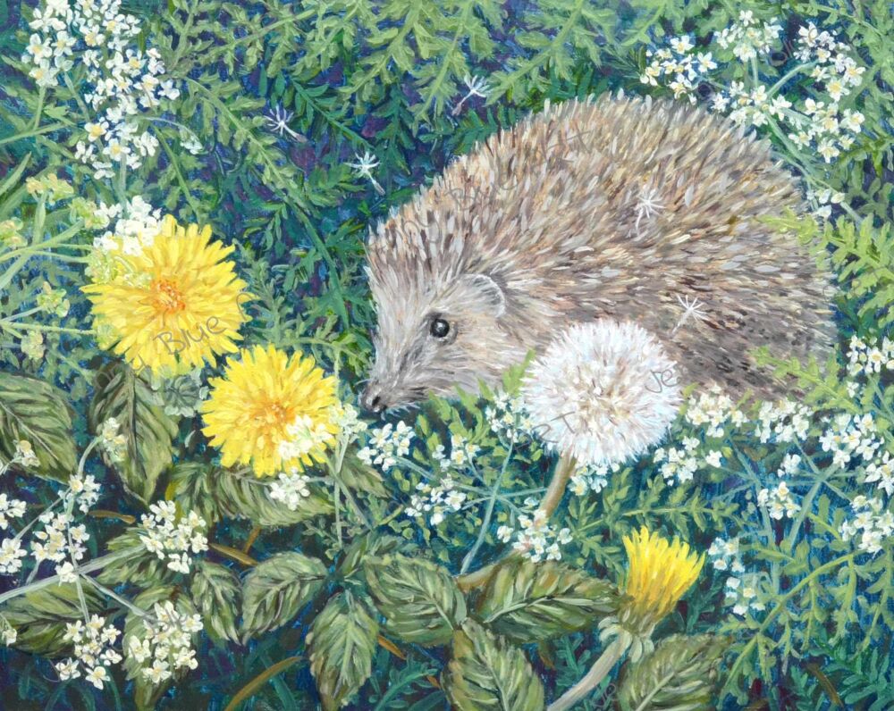 Original Paintings - Hedgehog & Dandelions