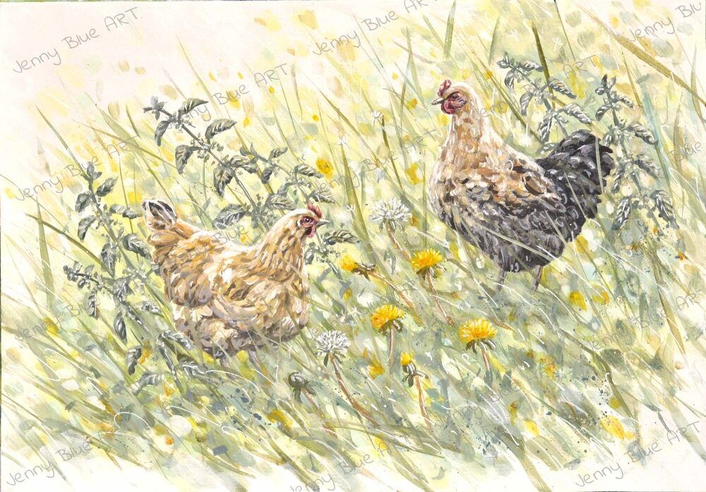 Original Paintings - Hens & Dandelions