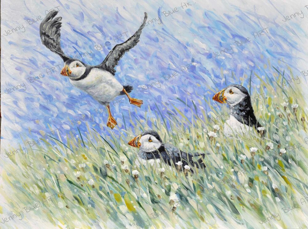 Original Paintings - 3 Puffins