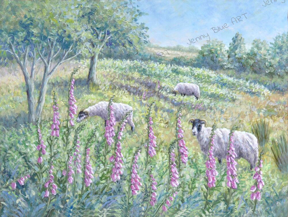 Original Paintings - Sheep & Foxgloves