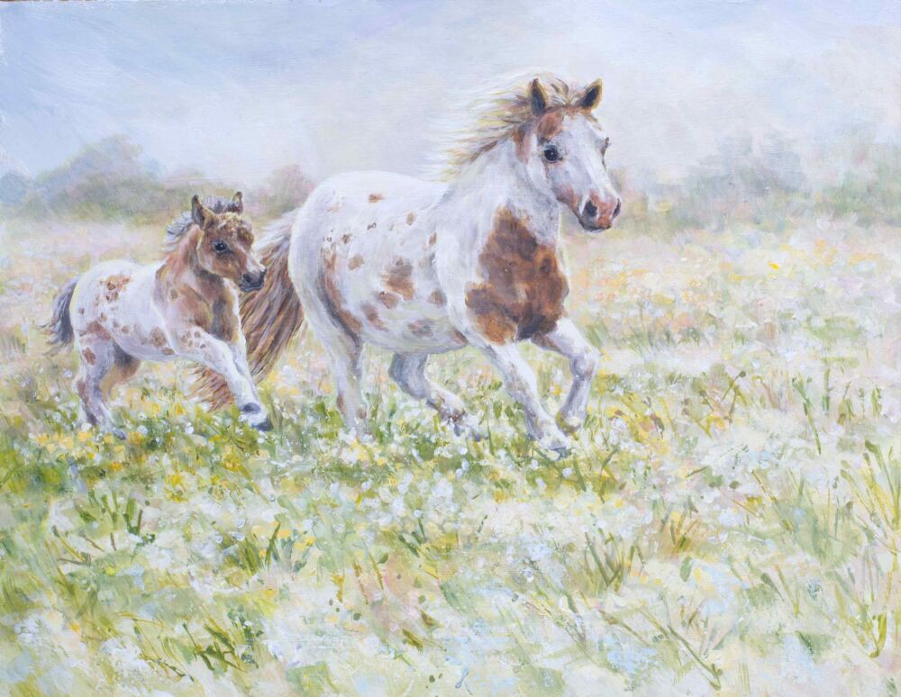 Dashing through the Daisies