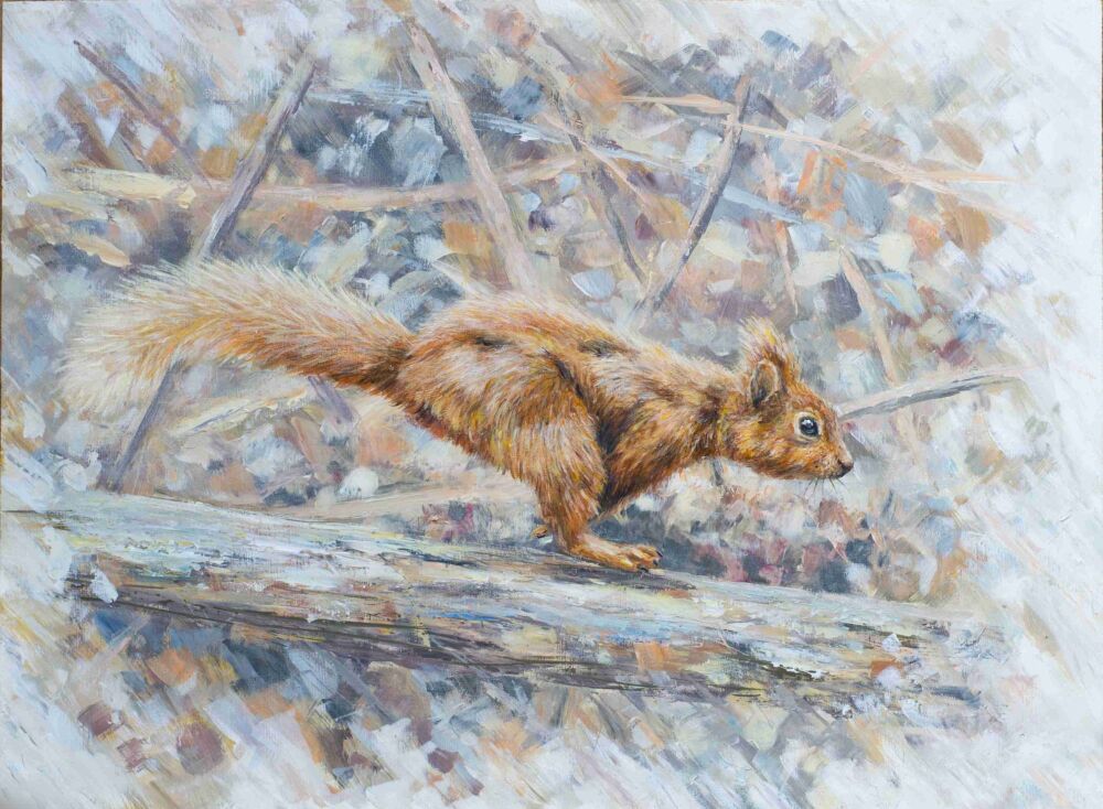Original Paintings - Squirrel Run