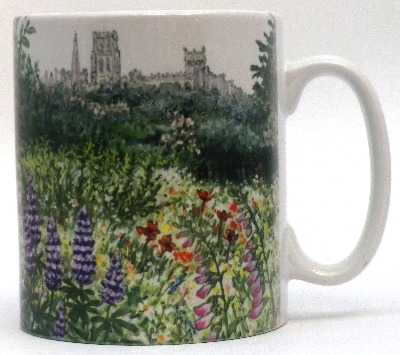 Mug-Durham from Crook Hall