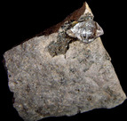 Helende stenen - Herkimer diamant