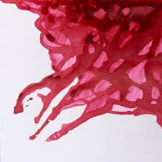 Winsor and Newton Ink - Deep Red