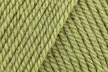 Stylecraft Special DK (Double Knit) - Meadow 1065