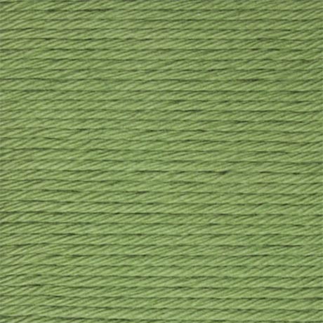 Stylecraft Classique Cotton DK - Leaf