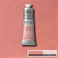 Winton Oil Colour - Flesh Tint