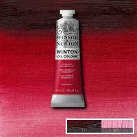 Winton Oil Colour - Permanent Crimson Lake