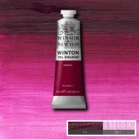 Winton Oil Colour - Magenta