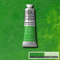Winton Oil Colour - Permanent Green Light