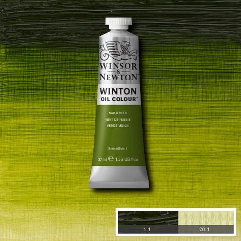 Winton Oil Colour - Sap Green