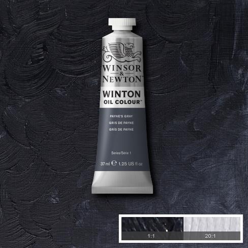 Winton Oil Colour - Payne's Gray