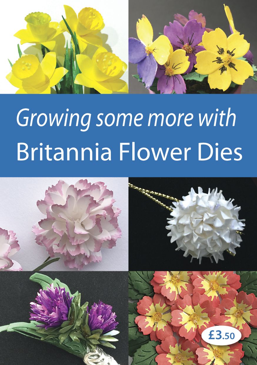 Growing Some More With Britannia Flower Dies