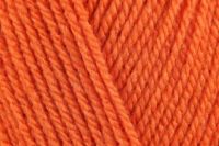 Stylecraft Special DK (Double Knit) - Spice 1711