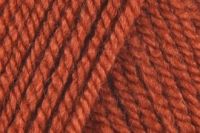 Stylecraft Special Chunky Yarn - Copper 1029