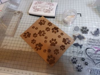 paw print 2