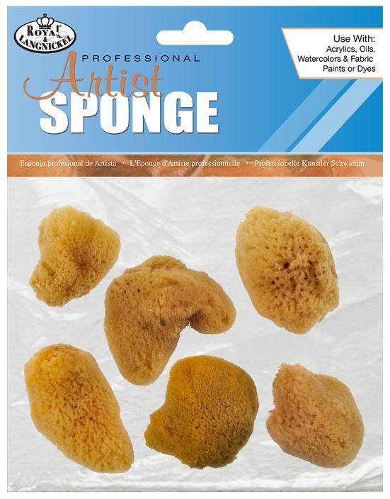6 Small Sea Silk Sponge All Natural