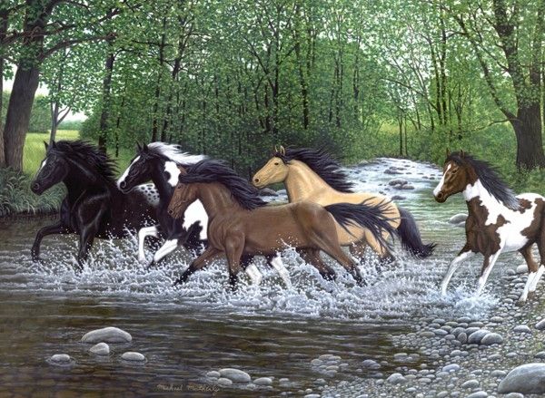 Royal and Langnickel Painting by numbers  : Free Spirits