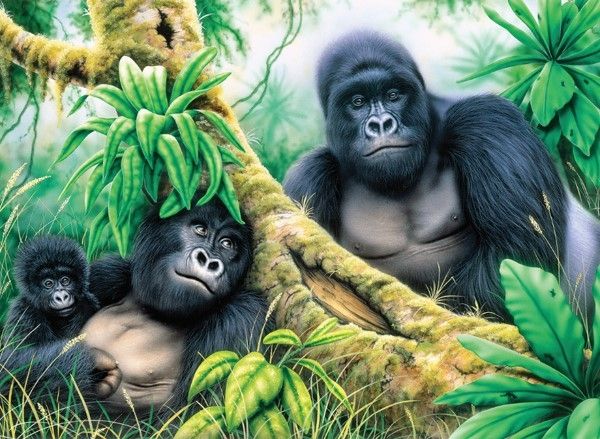 Royal and Langnickel Painting by numbers  : Mountain Gorillas