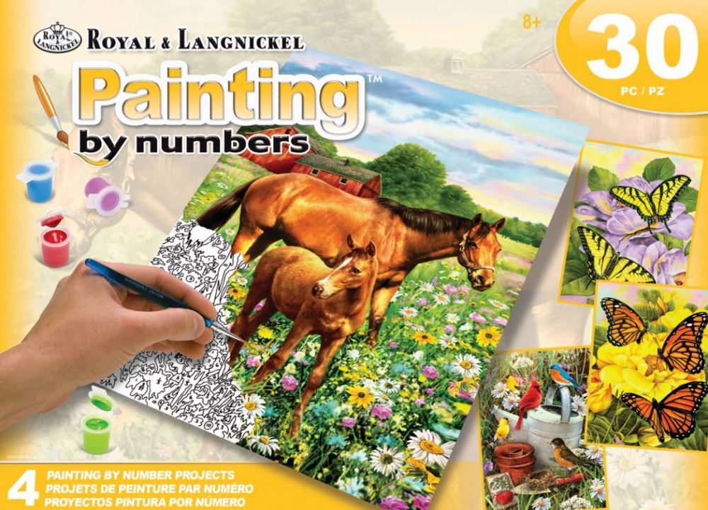 Royal & Langnickel Paint By Numbers Activity Fields Box Set 2 