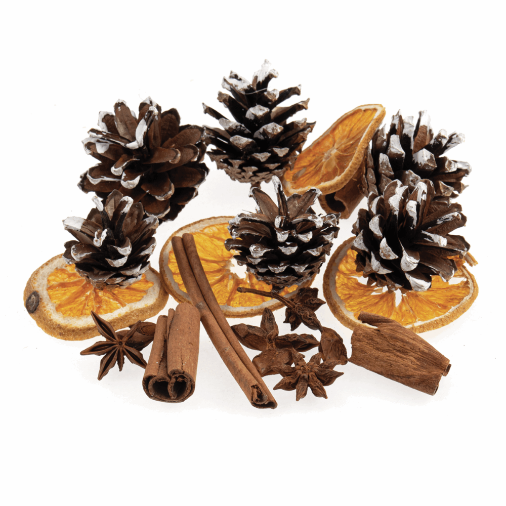 Natural Crafts (orange slices, pine cones etc)