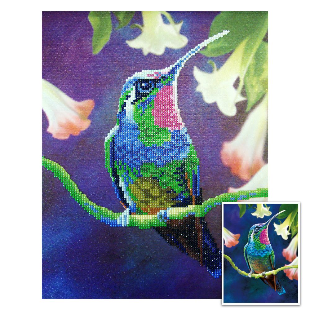 Craft Artist Diamond Art Kit - Humming Bird 