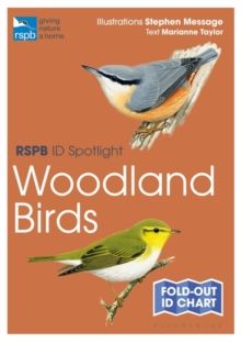 RSPB ID Spotlight - Woodland Birds by Marianne Taylor 