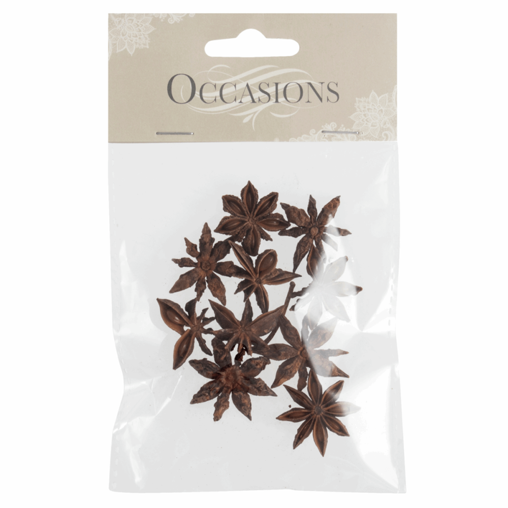 Dried Star Anise: 10 Pieces